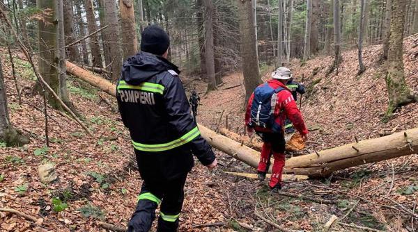 mama cu copil de 4 ani rataciti in padure gasiti dupa 24 de ore