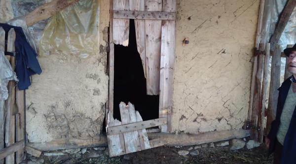 urs batjocorit la colti buzau lectie pentru primarul de la psd ce ar trebui sa faca