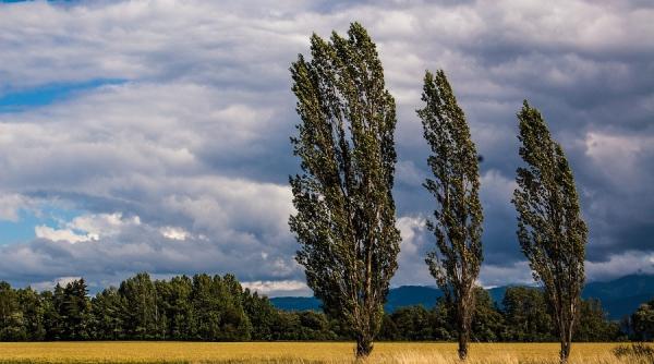 anm prognoza meteo cod galben de vreme rea 24 aprilie