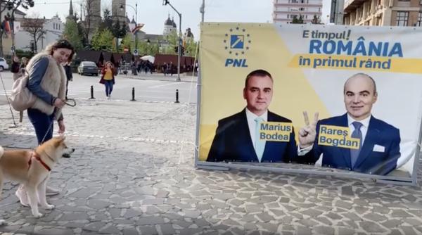 reactia unui catel cand il vede pe rares bogdan video