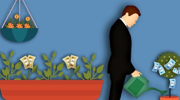 plantele care atrag bani cinci nume norocoase care te imbogatesc