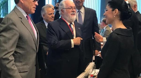 ana birchall  la forumul de afaceri la nivel inalt ue sua in domeniul energiei