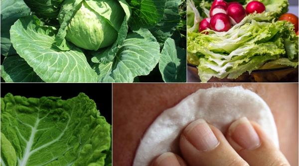 ce se intampla daca pui o frunza de varza pe piele