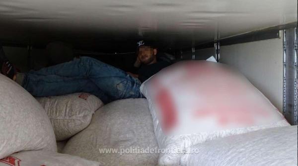 cetateni din siria si irak  ascunsi printre seminte de floarea soarelui  depistati la vama