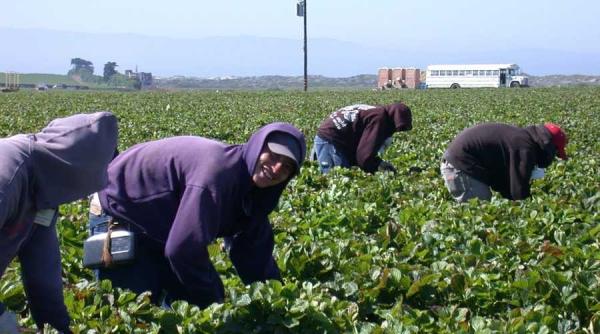 cauti un loc de munca in strainatate vezi ce posturi sunt disponibile