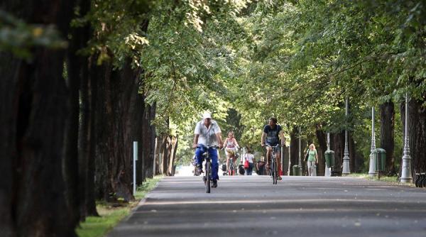 peste 20 de strazi din bucuresti vor avea piste de biciclete investitii majore