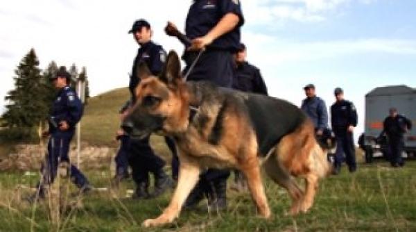 fetita de 6 ani disparuta de acasa autoritatile sunt in alerta