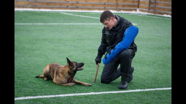 lachi cainele politist de frontiera uimeste din nou