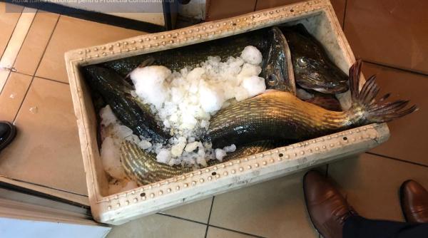 peste contaminat cu mercur  sorina pintea  consecintele se vad in doi  trei ani