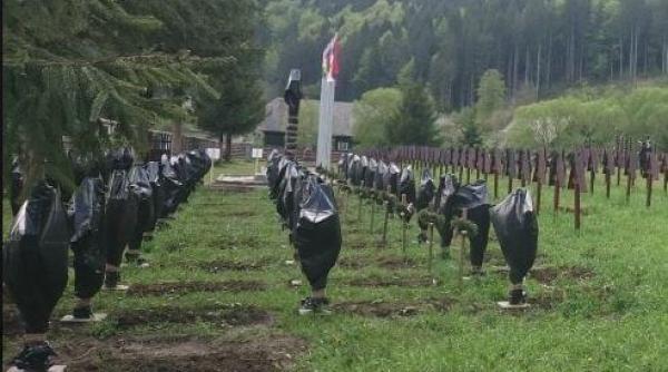 cruci eroi cimitir valea uzului  acoperite cu saci  consiliul regional al alesilor locali din tinutul secuiesc  reactie