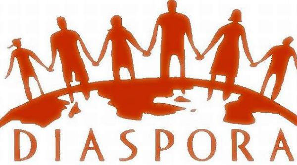 dezbatere diaspora concluzii privind romanii din afara tarii