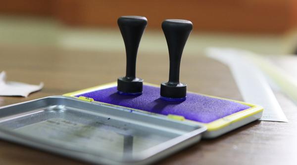 rezultate referendum 2019 in bacau