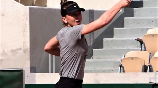 ce va face simona halep in ziua alegerilor europarlamentare