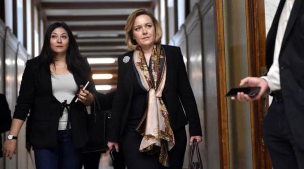 europarlamentare 2019 carmen dan masuri pentru evitarea fraudei