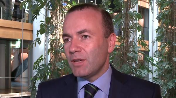 europarlamentare 2019 manfred weber dreptul de a vota sa fie luat in serios