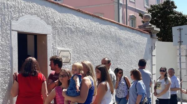 vot diaspora  melescanu  ancheta in tarile in care au fost probleme