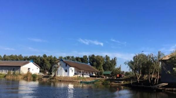 cat costa o insula in delta dunarii scoasa la vanzare