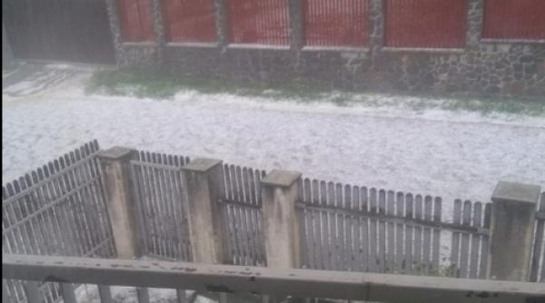 fenomene meteo extreme madr solutie pentru asigurarea culturilor