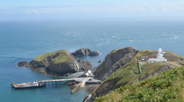 insula lundy populatia de pasari acvatice a crescut semnificativ dupa eradicarea sobolanilor