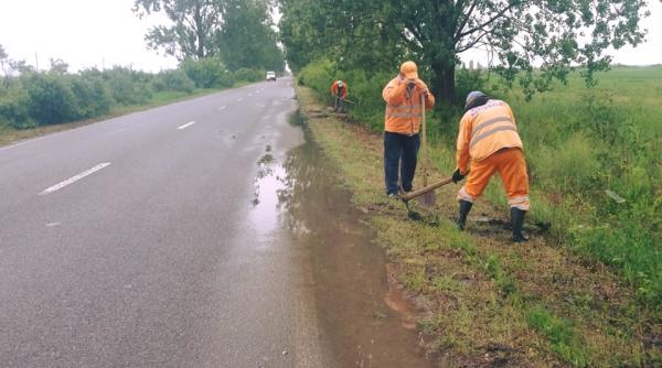 bancul zilei munca in zadar
