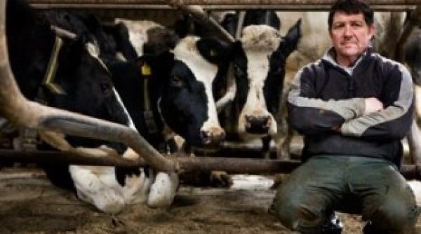 apia plateste ajutorul de stat pentru ameliorarea raselor de animale