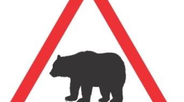 bistrita nasaud cadavrul unui cioban disparut de aproape doua saptamani  descoperit intr o padure ar fi fost atacat de urs