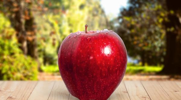 dieta cu care amalia nastase a slabit 21 de kilograme in 3 luni