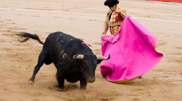 bancul zilei bula fan la corida