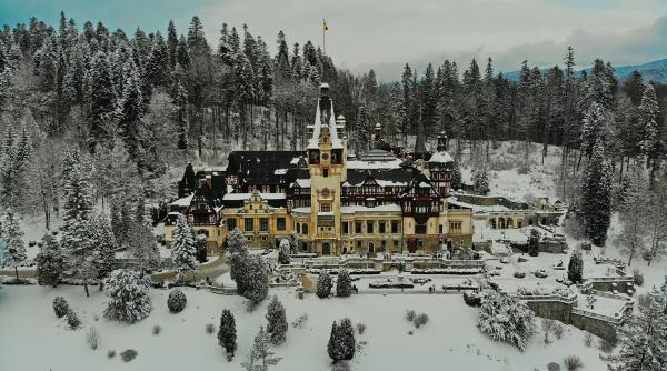 google arts culture lanseaza expozitiile de arta a patru noi parteneri din romania