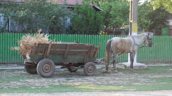 grav accident in arges o caruta rasturnata in sant