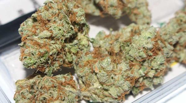 a mers la posta si a fost retinut imediat ce a ridicat un colet cu cannabis