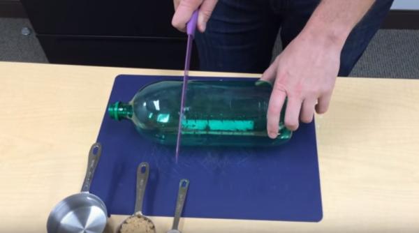 cum scapi de tantari si muste cel mai util truc al verii