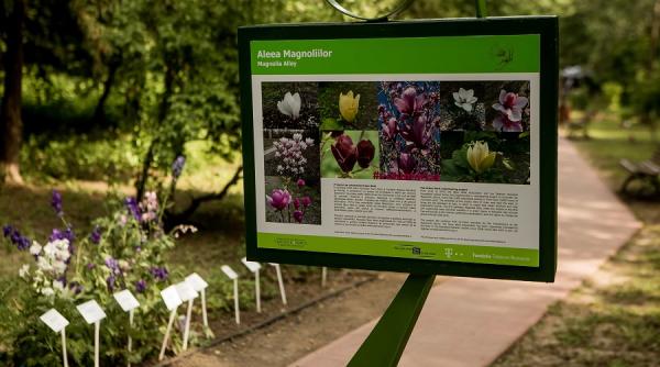 primul spatiu verde din romania cu banci solare si wifi gratuit  in gradina botanica din bucuresti