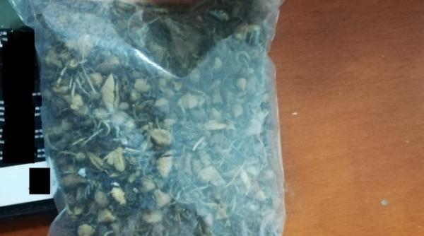captura de canabis la pitesti  cat cereau suspectii pe 3 kilograme de iarba