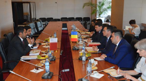 radu oprea  discutii cu o delegatie a fondului suveran de investitii din qatar