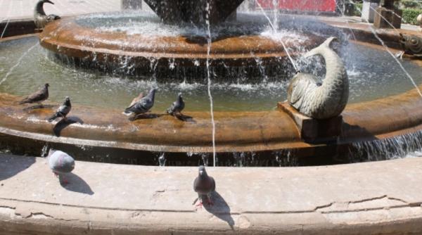 prognoza meteo speciala pentru bucuresti