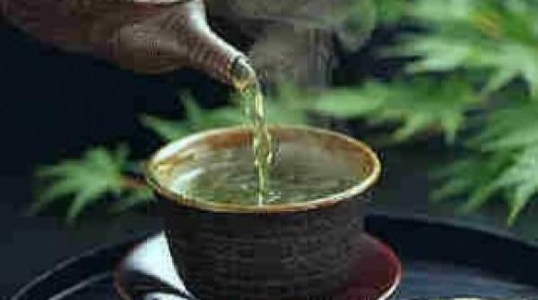 ceaiul verde beneficii incredibile pentru piele