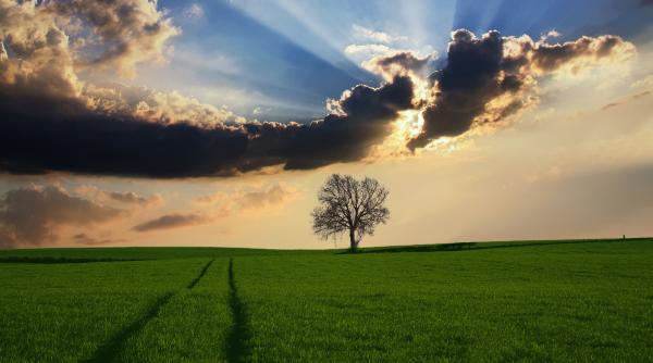 locuri abandonate de o frumusete rara