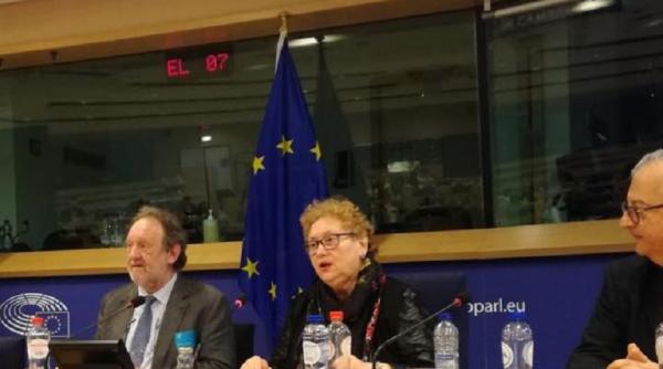 renate weber validata pentru functia de avocat al poporului