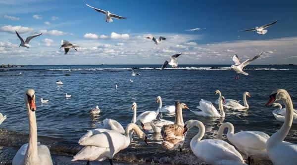 vremea azi prognoza meteo in tara si pe litoral asteptam canicula