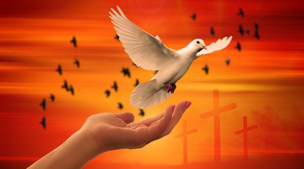 calendar crestin ortodox sarbatoare 28 iunie 2019