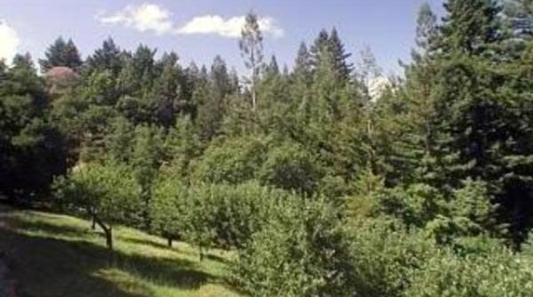 un septuagenar ratacit intr o padure a fost gasit dupa o saptamana de cautari