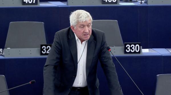 adoptie sorina mircea diaconu va dati seama unde suntem este dementa