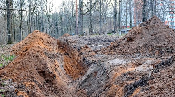 oseminte umane gasite la vulturi dosar penal la parchetul militar