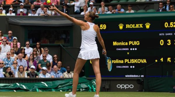 wimbledon 2019 pliskova merge in optimi