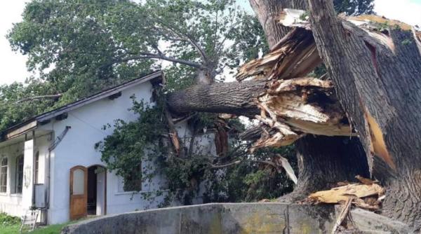 mircea dinescu paguba la portul cultural cetate in urma furtunii de duminica
