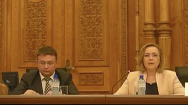 alegeri europarlamentare 2019 ancheta carmen dan operarea tabletelor s a facut defectuos