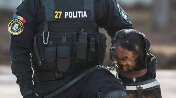 mai mesajul inceputului de weekend sa nu va puna capac legatura cu provocarea verii pe internet