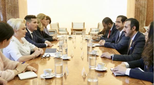 viorica dancila  intrevedere cu seicul abdulla bin ahmed al khalifa