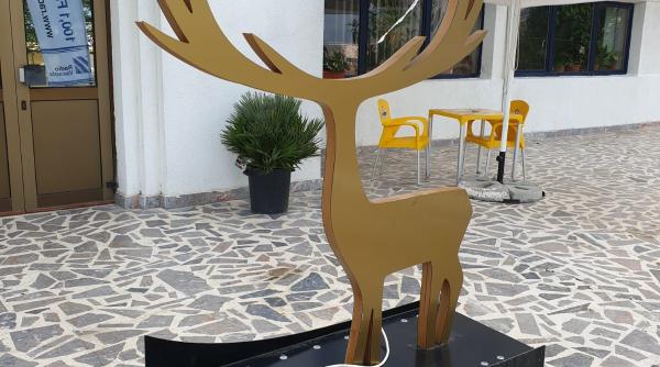 cerbul de aur 2019 startul concursului pe facebook priveste cerbul